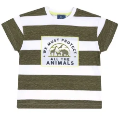 T-Shirt|Chicco Maglietta Manica Corta