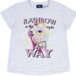 T-Shirt|Chicco Maglietta Manica Corta Grafica Effetto Arcobaleno Grigio Chiaro